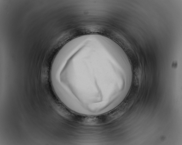 X0000102030410200808081817