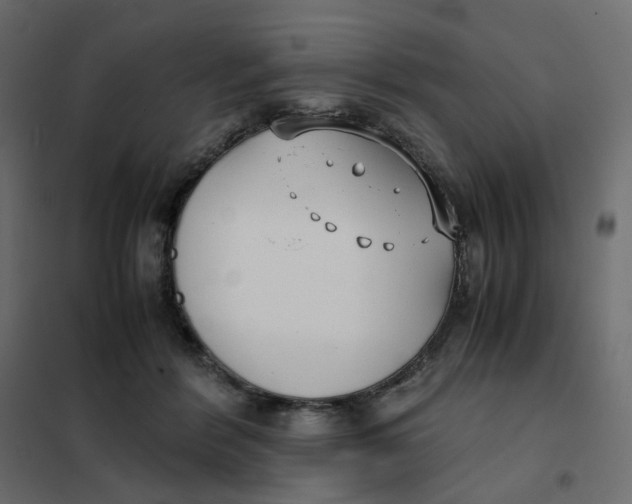 X0000102030412200808081816