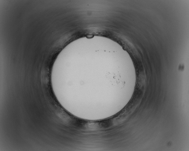 X0000102030413200808081816