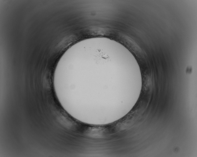 X0000102030414200808081816