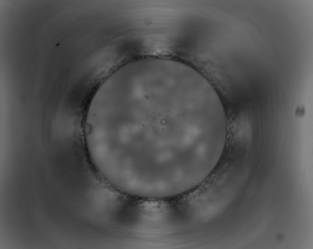 X0000102030415200808081816