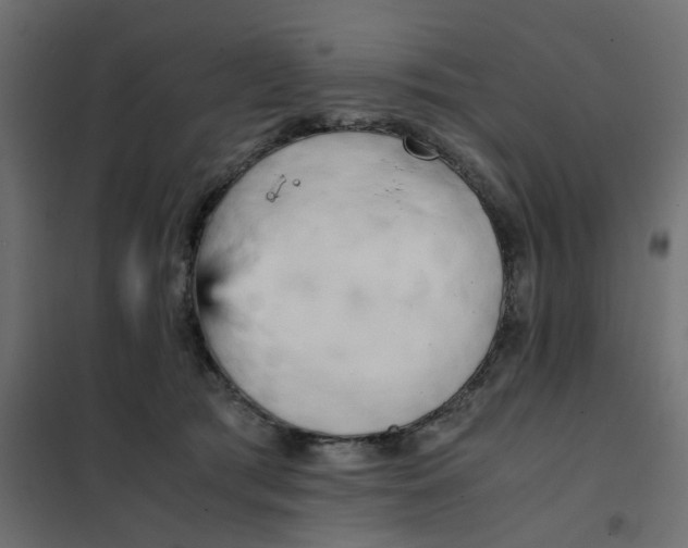 X0000102030417200808081816