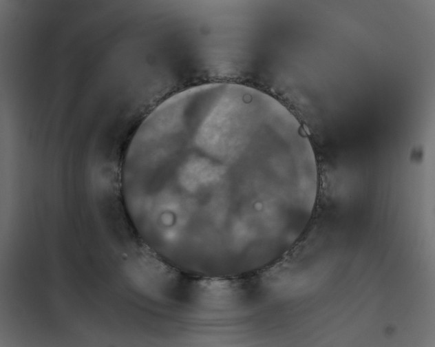 X0000102030419200808081816