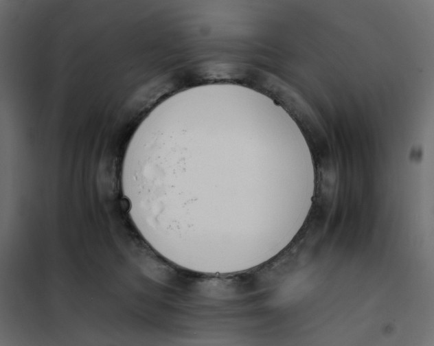 X0000102030422200808081816