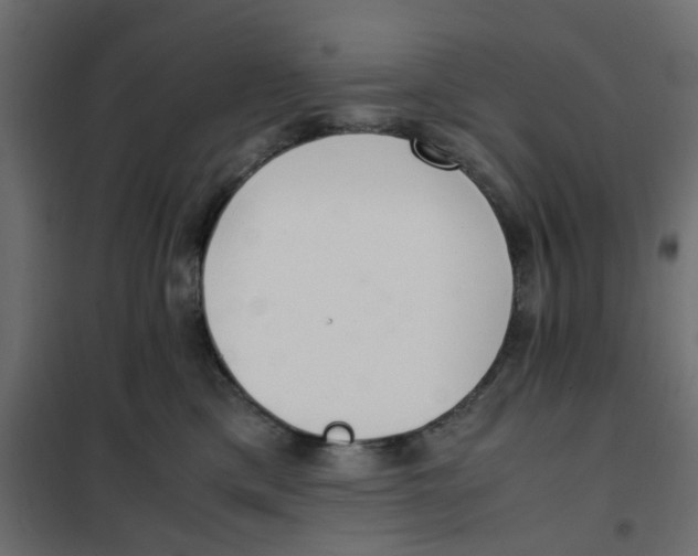 X0000102030425200808081816