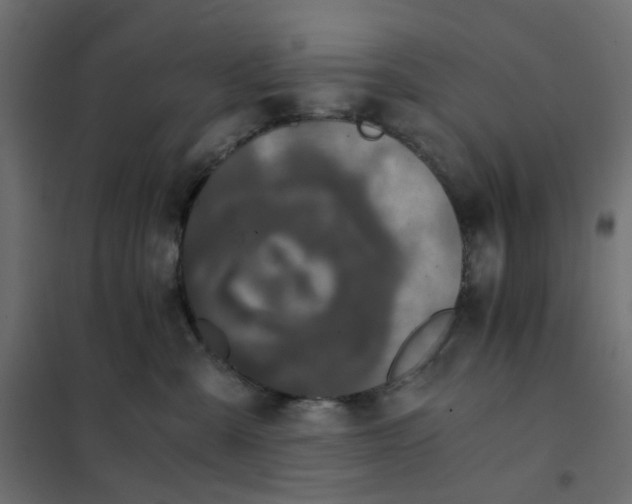 X0000102030427200808081816