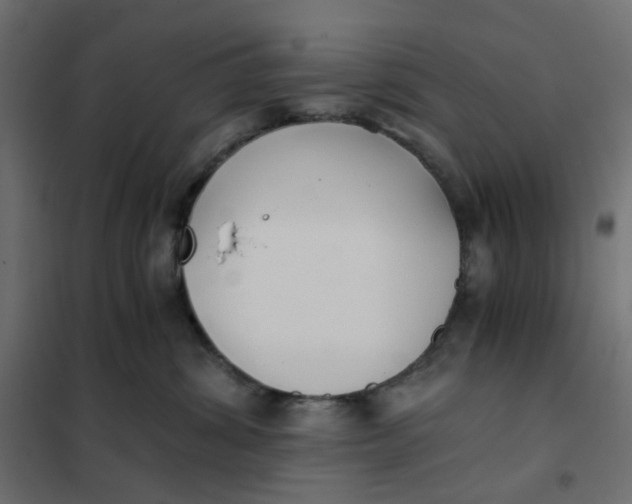 X0000102030428200808081816