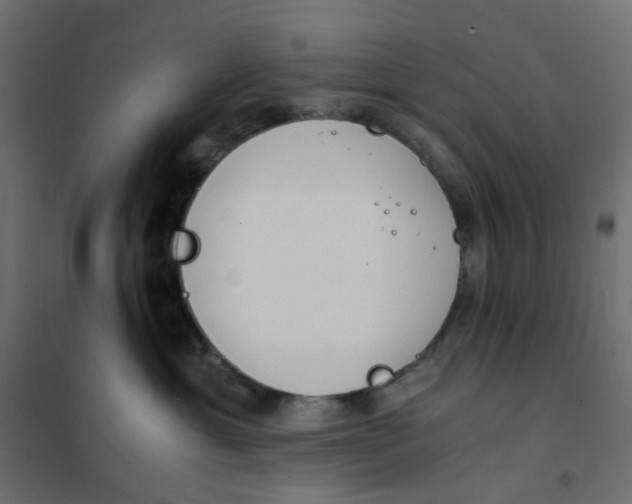 X0000102030429200808081816