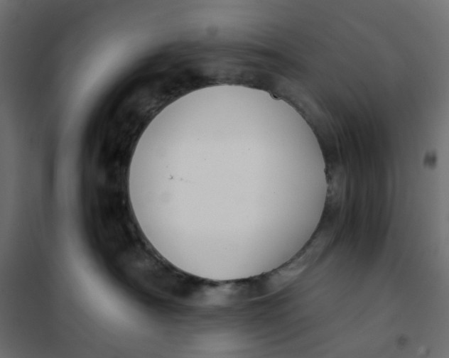 X0000102030430200808081816