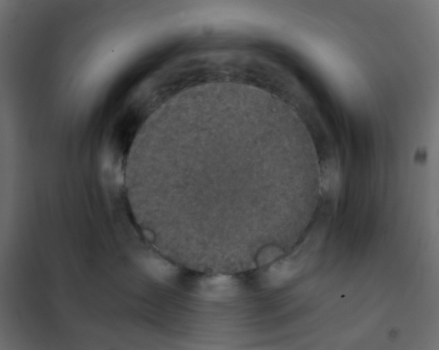 X0000102030431200808081816