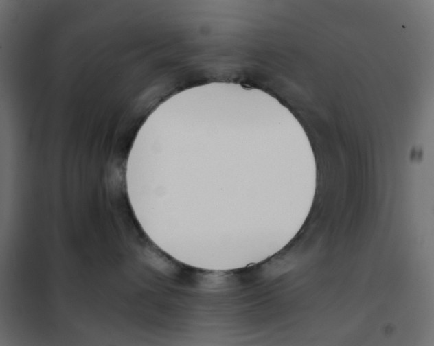 X0000102030432200808081816