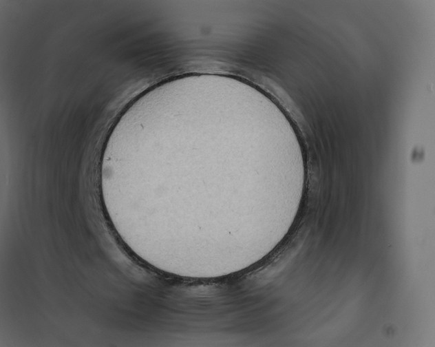 X0000102030433200808081816