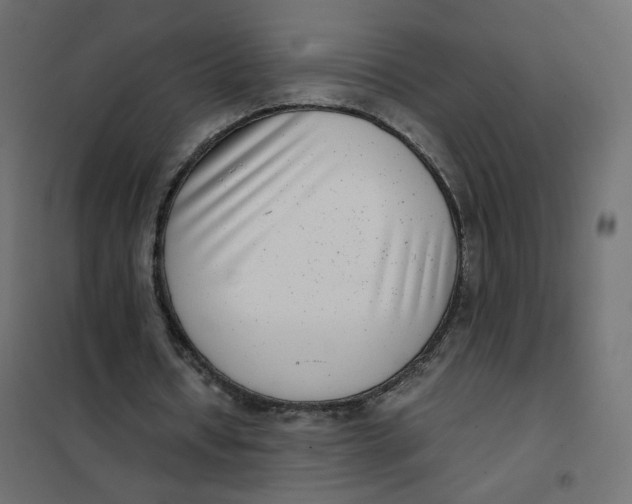 X0000102030434200808081816