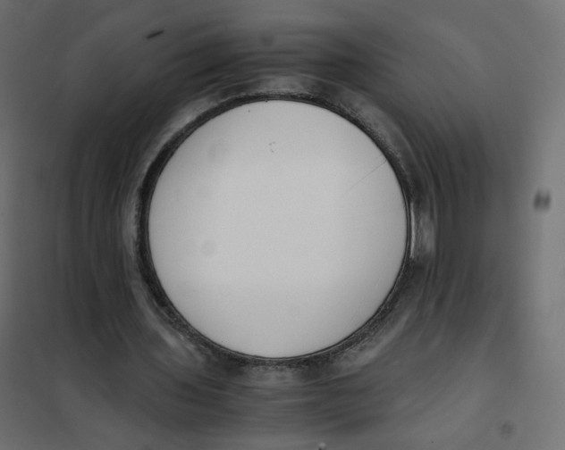 X0000102030435200808081816