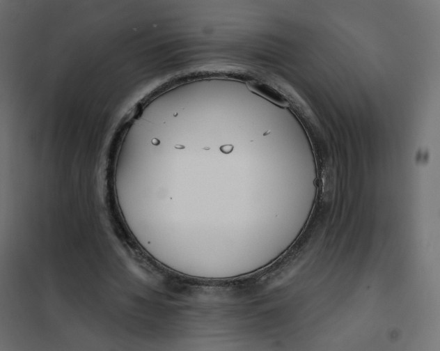 X0000102030436200808081816