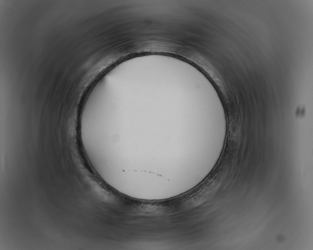 X0000102030437200808081816