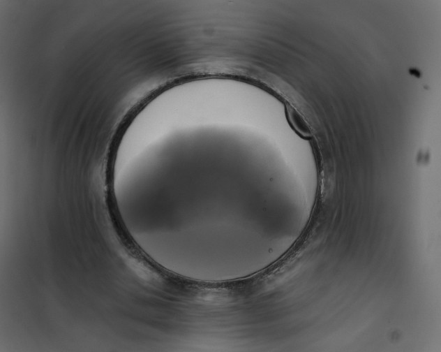 X0000102030438200808081816