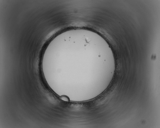 X0000102030440200808081816