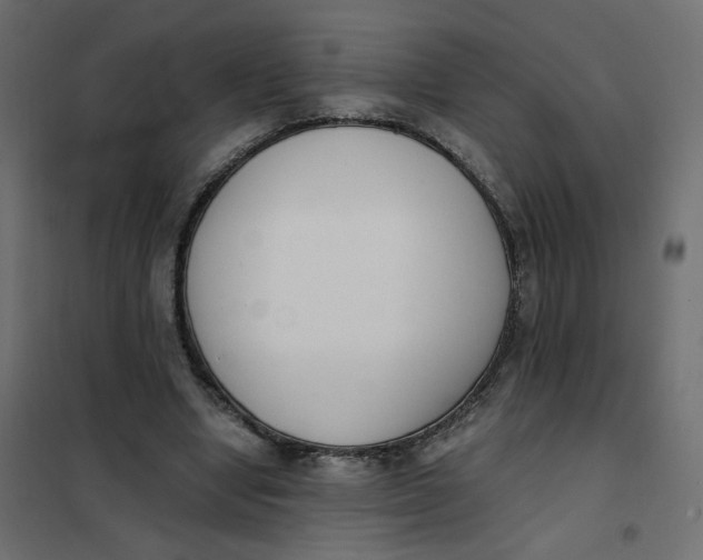 X0000102030442200808081816