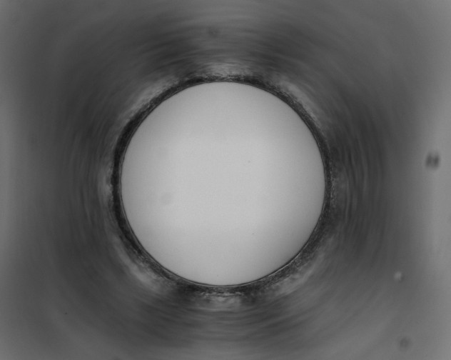 X0000102030443200808081816