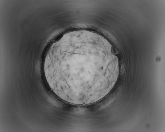 X0000102030444200808081816