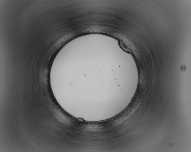 X0000102030445200808081816