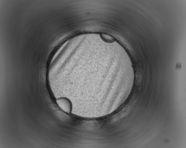 X0000102030446200808081816