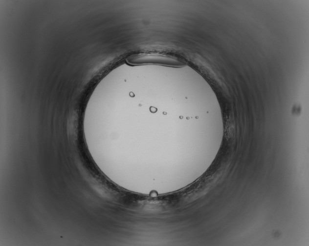 X0000102030448200808081816