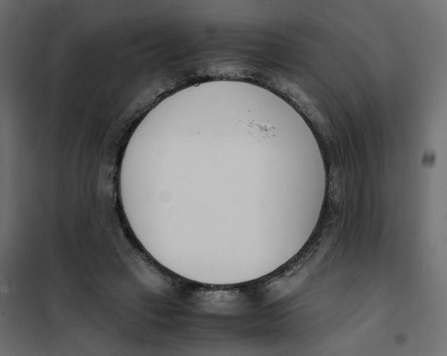 X0000102030449200808081816