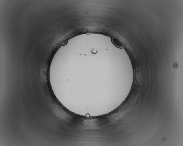 X0000102030450200808081816