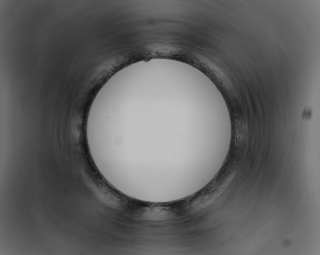 X0000102030451200808081816