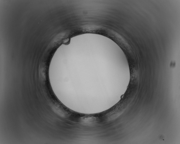 X0000102030452200808081816