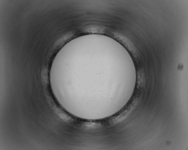 X0000102030453200808081816