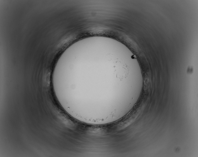 X0000102030454200808081816