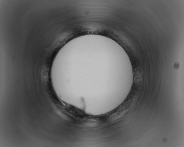 X0000102030456200808081816