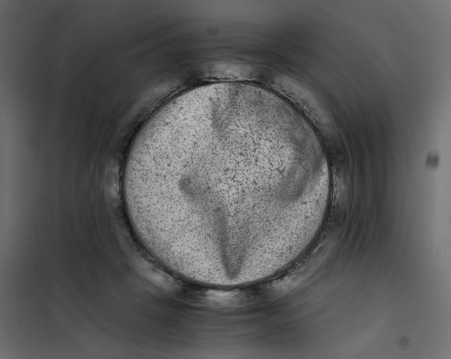 X0000102030457200808081816