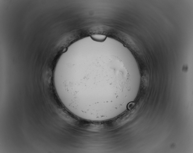 X0000102030458200808081816