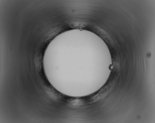 X0000102030460200808081816