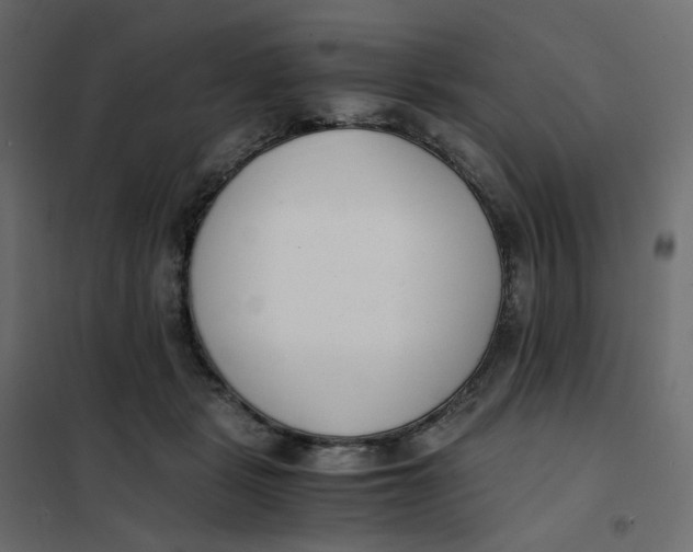 X0000102030461200808081816