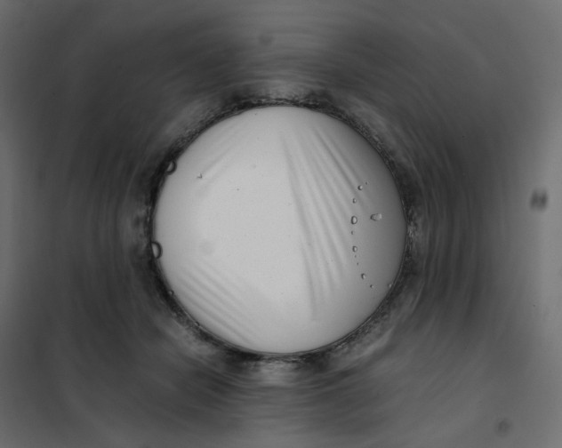 X0000102030462200808081816