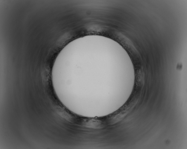 X0000102030463200808081816