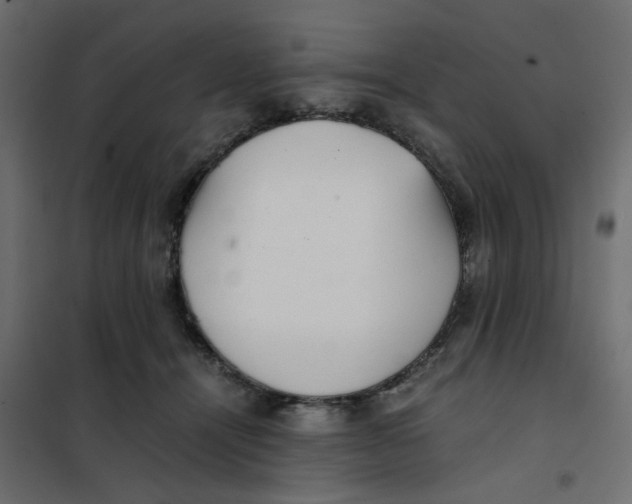 X0000102030464200808081816