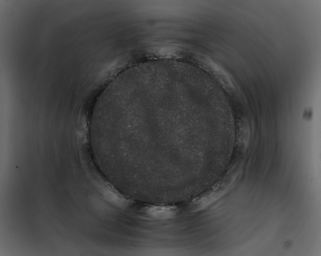 X0000102030465200808081816