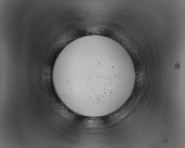 X0000102030466200808081816