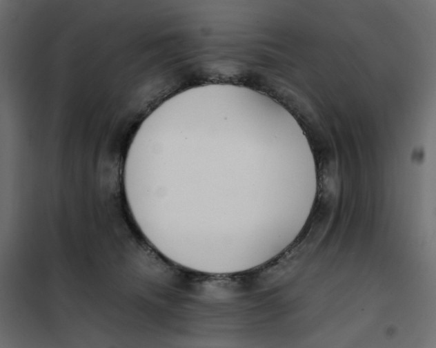 X0000102030468200808081816