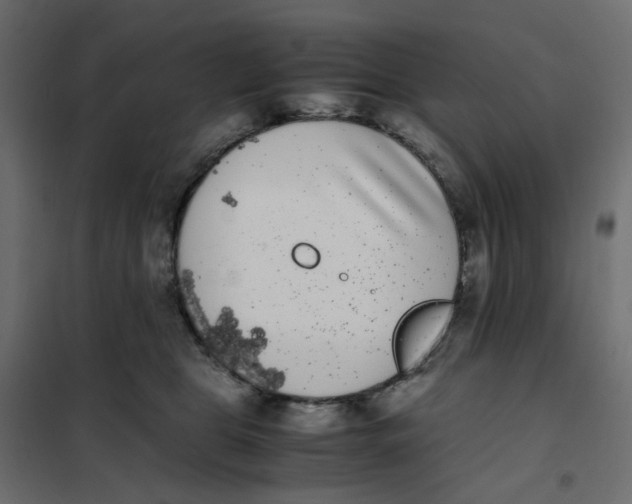 X0000102030469200808081816