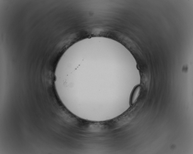 X0000102030470200808081816