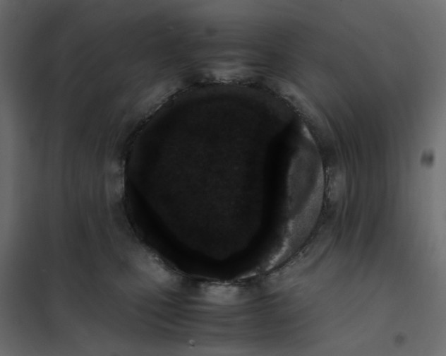 X0000102030471200808081816