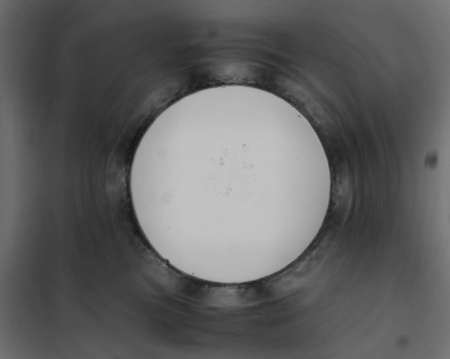 X0000102030473200808081816