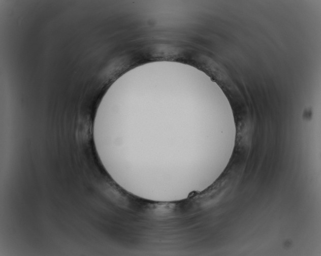 X0000102030474200808081816